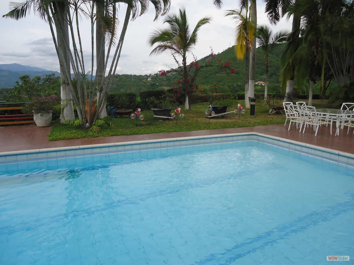 26_piscina_palmeras