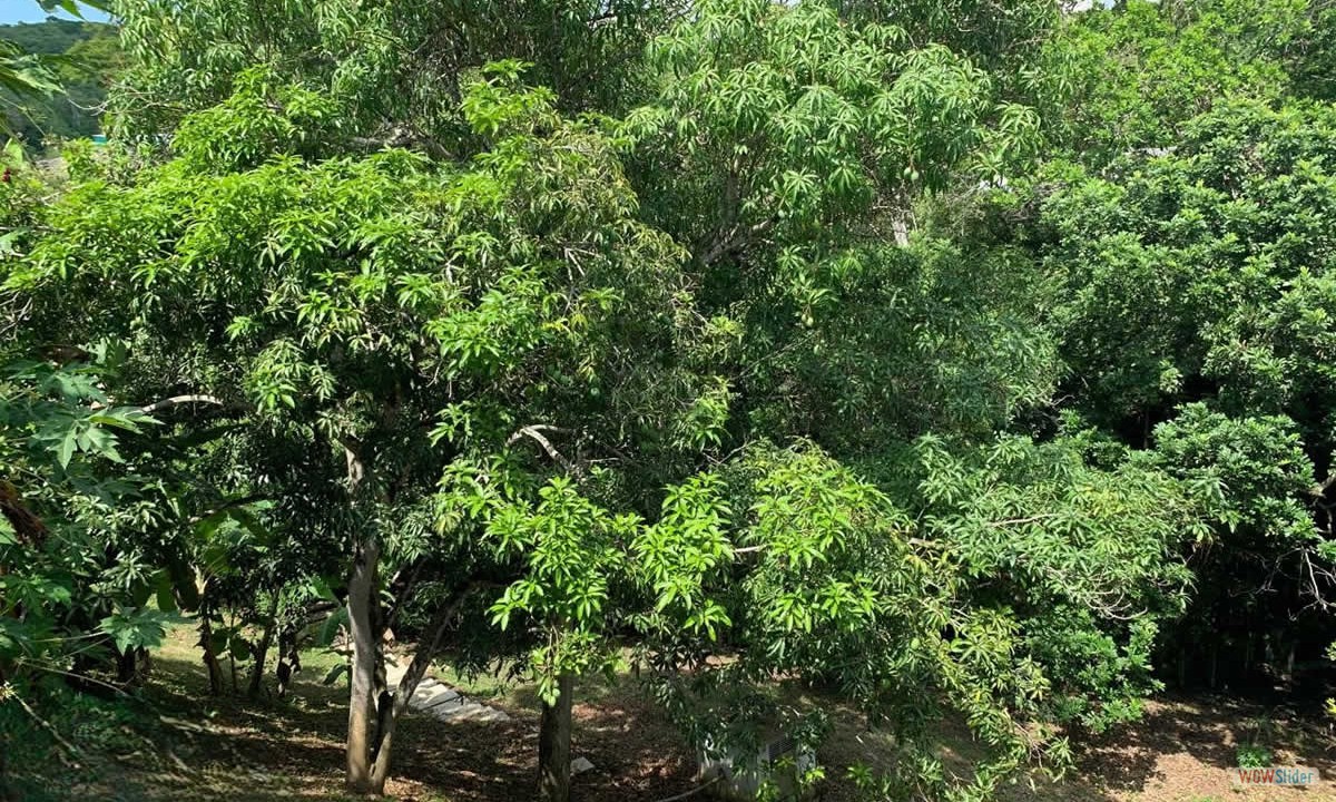 10_naturaleza