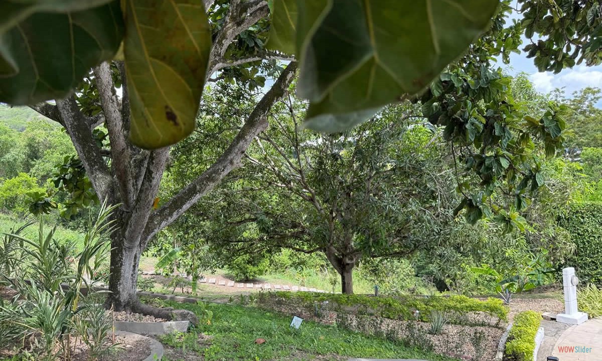 21_naturaleza_3