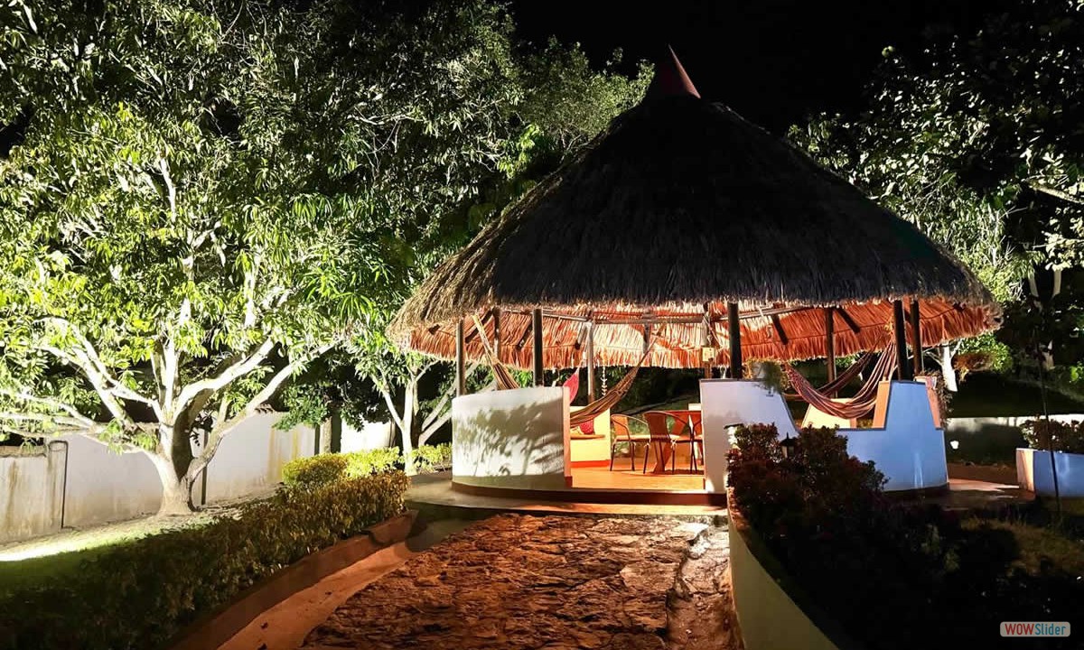 6_kiosco_noche