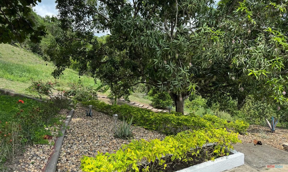 9_naturaleza_2