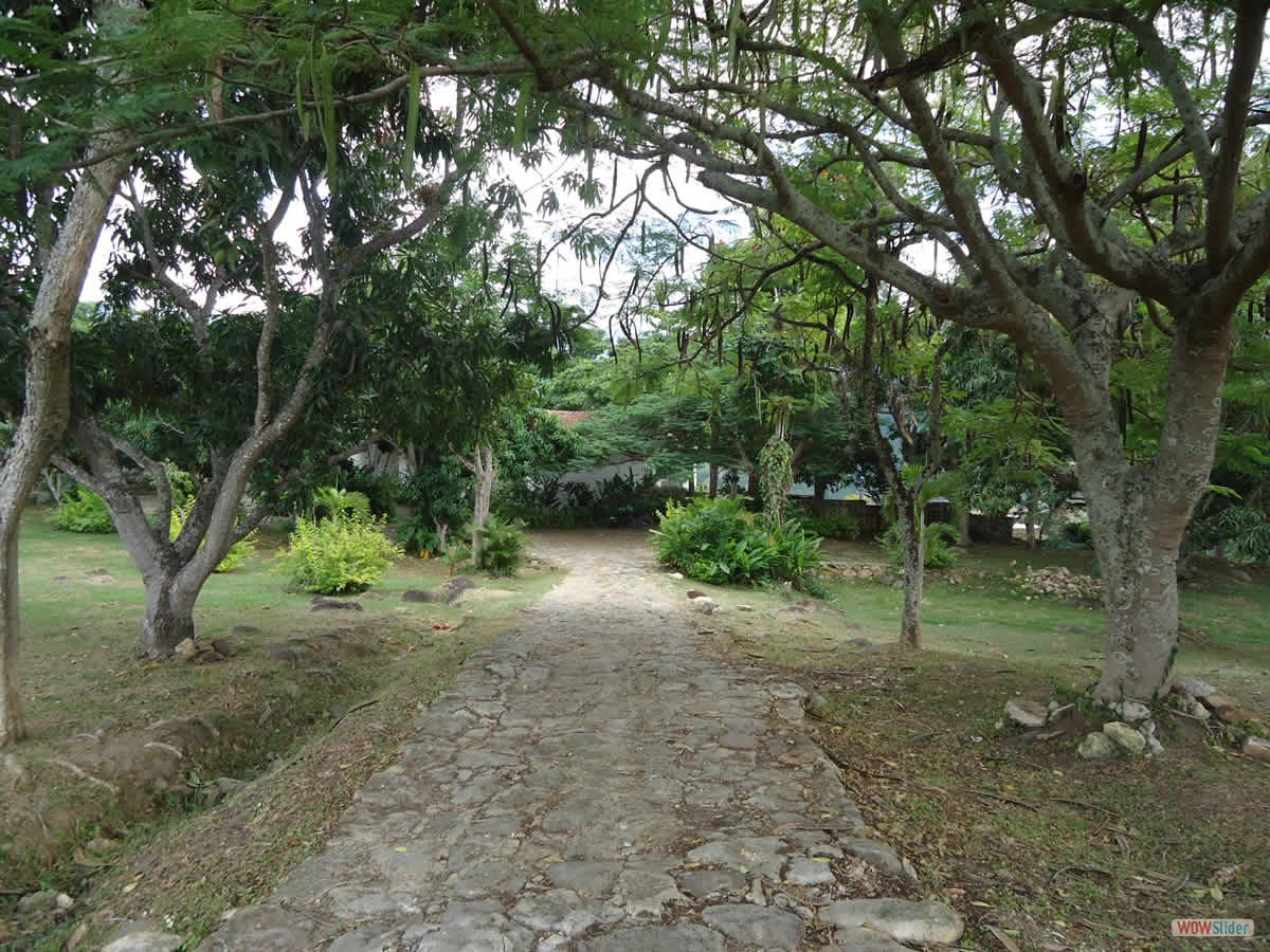 24_entrada