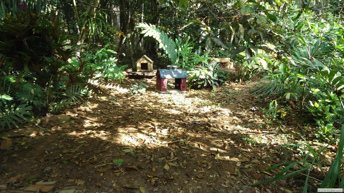 Fincas aire puro