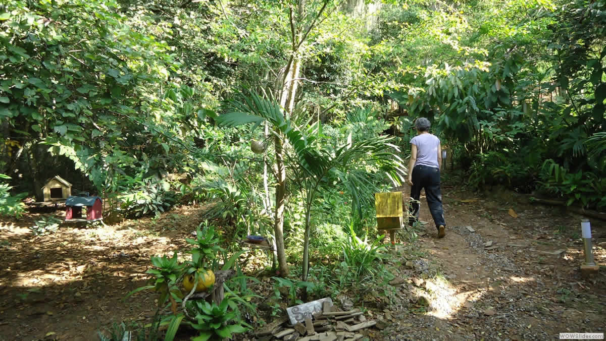 Fincas aire puro