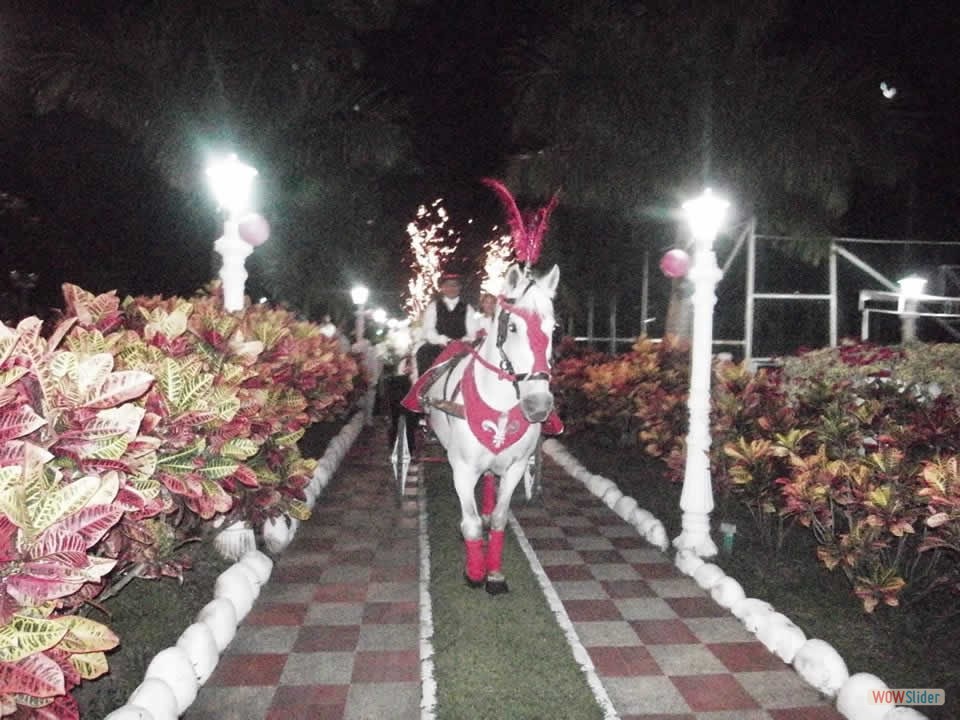 carroza_2