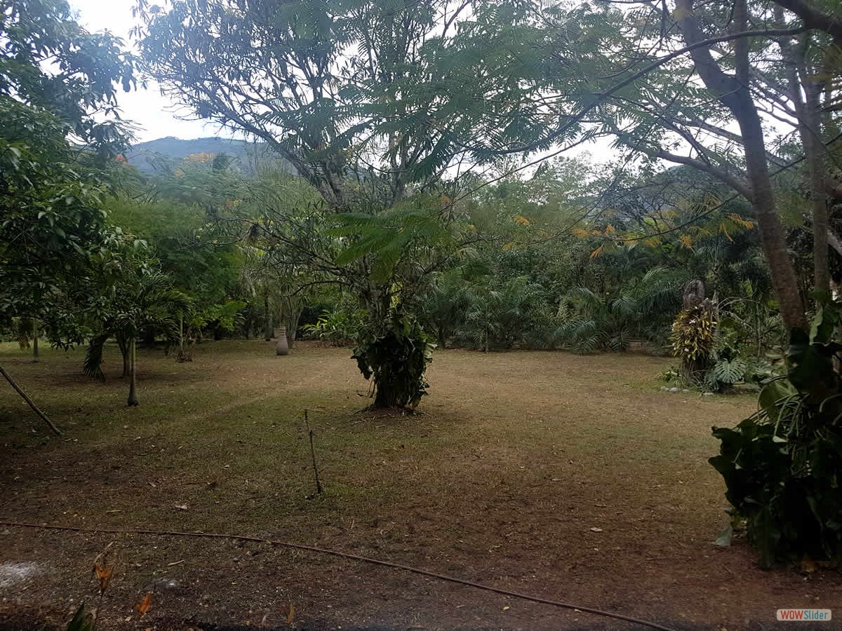 12_jardin