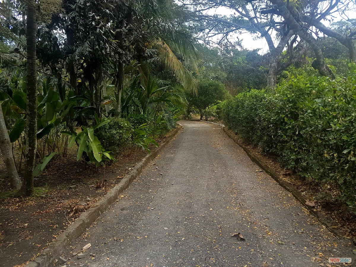 9_carretera_entrada