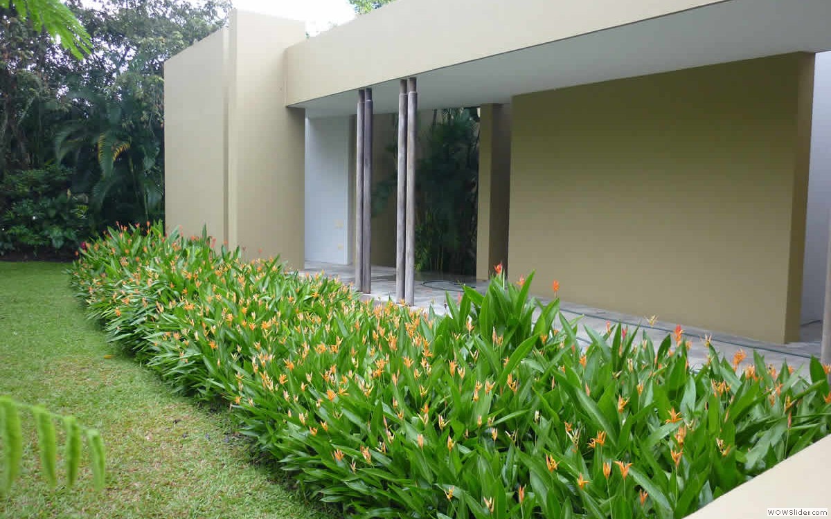 3_jardin