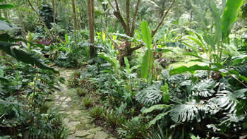sala_grande