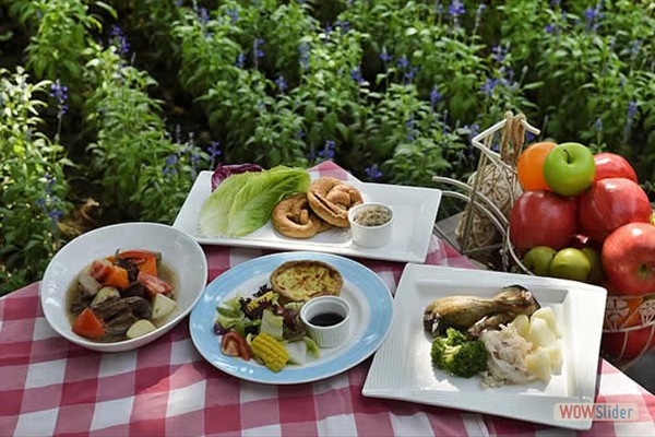 10_picnic