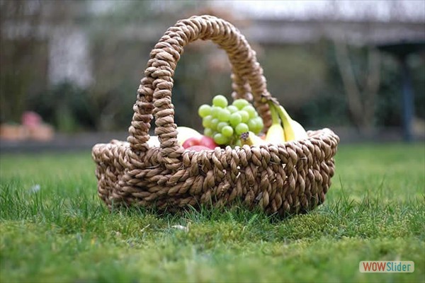 11_picnic_2