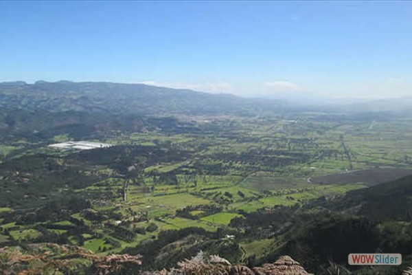 4_paisaje_caminata