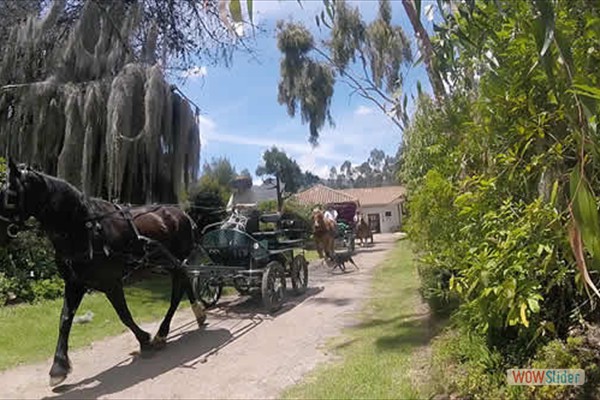8_paseo_carruaje